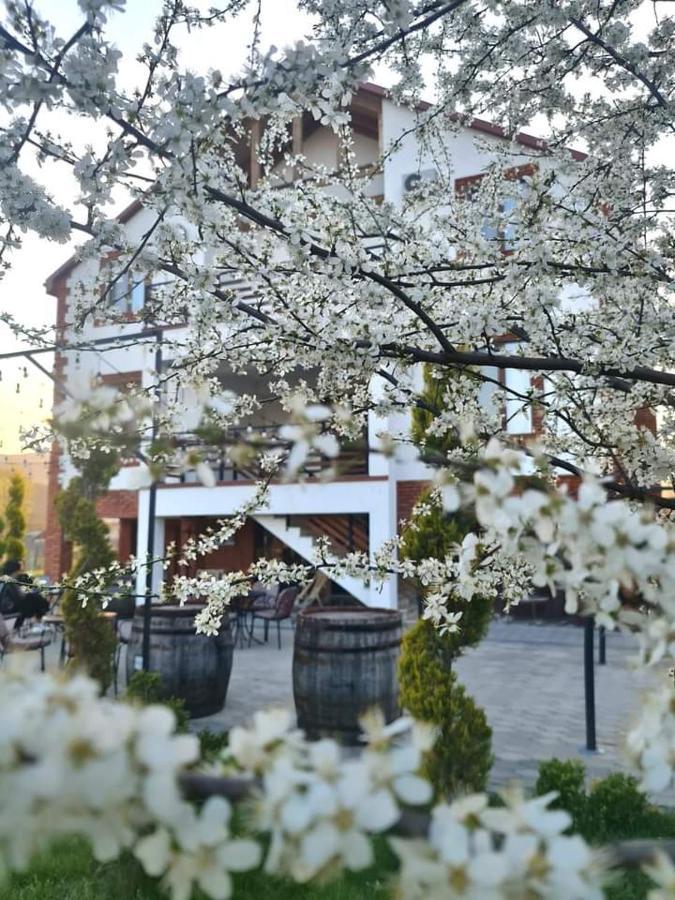 Karse Hotel Ambrolauri Buitenkant foto